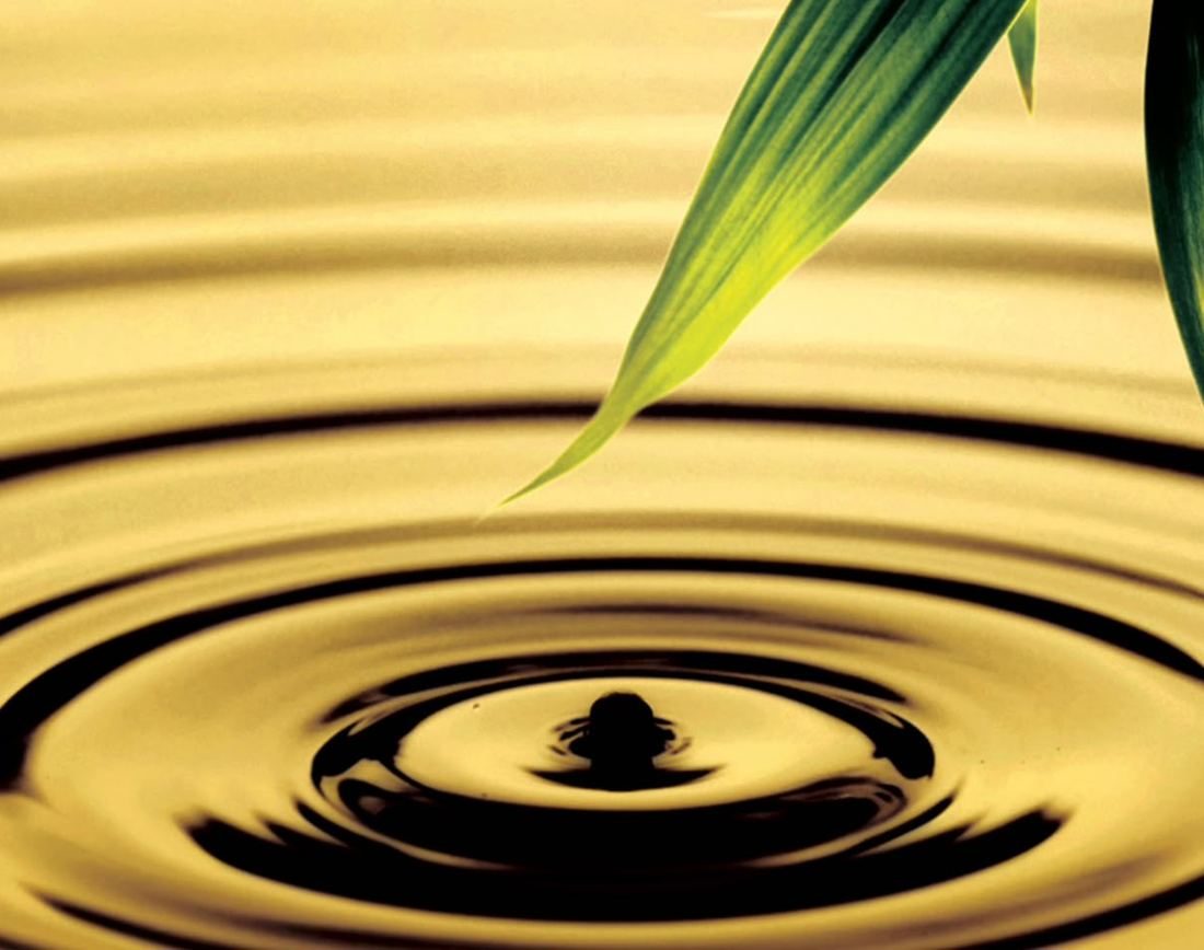 Golden water with concentric ripples and a bamboo leaf